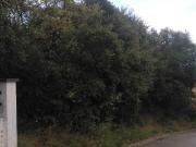 Terreno en venta en Vallgorguina