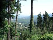 Terreno en venta en Vallromanes, Avinguda de Can...