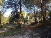 Terreno en Venta en Valverde del Camino