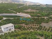 Terreno en Venta en Vélez Málaga