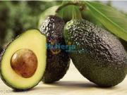 Terreno en Venta en Vélez Málaga