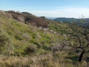 Terreno en Venta en Vélez Málaga