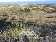 Terreno en Venta en Vélez Málaga