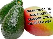 Terreno en Venta en Vélez Málaga