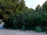 Terreno en venta en Vendrell el