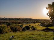 Terreno en Venta en Vera