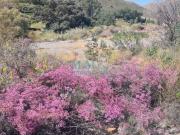 Terreno en Venta en Vícar