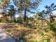Terreno en Venta en Vidreres