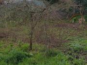Terreno en Venta en Vigo
