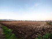 Terreno en Venta en Vilafranca de Bonany