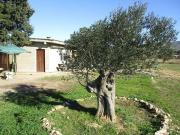 Terreno en venta en Vilajüiga, de 22.600 m² por 65.000