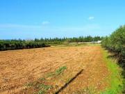 Terreno en venta en Vilanova i La Geltrú, de 16 m² por...