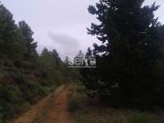 Terreno en venta en Torrelles de Foix, de 80.000 m² por...