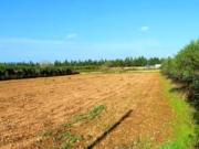 Terreno en venta en Vilanova i la Geltrú, Fondo Somella