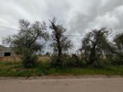 TERRENO EN VENTA EN VILLA HARDING GREEN