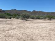 Terreno en Venta en Villa Juárez, Lerdo, Dgo