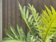 Terreno en Venta en Villa Santiago, Cuernavaca, Mor