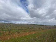 Terreno en Venta en Villadangos del Páramo