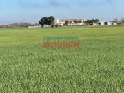 Terreno en Venta en Villafranca de los Caballeros