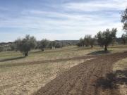 Terreno en Venta en Villamuelas