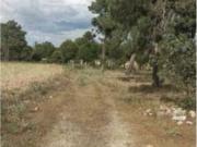 Terreno en Venta en Villanueva de Gómez