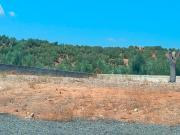 Terreno en venta en Villanueva De La Reina