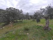 Terreno en venta en Villanueva del Rey, Villanueva del rey
