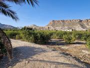 Terreno en Venta en Villanueva del Río Segura