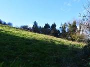 Terreno en Venta en Villaviciosa