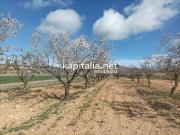 Terreno en Venta en Villena