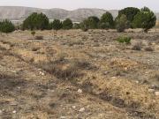 Terreno en Venta en Villena