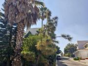 Terreno en Venta en Virreyes – Coto 8 | 332 m²