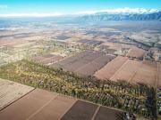 Terreno en venta en Vistalba