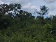 Terreno en VENTA EN XCANATUN