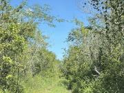 Terreno en venta en Xcunya, Mérida, Yucatán