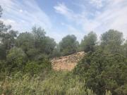 Terreno en Venta en Xerta