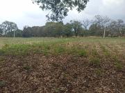 Terreno en venta en Xolalpa, Papalotla de Xicohténcatl,...