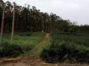 Terreno en Venta en Xove