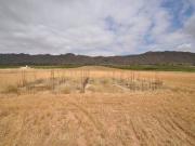Terreno en Venta en Yecla