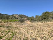 Terreno en Venta en Yecla