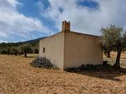 Terreno en Venta en Yecla