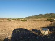Terreno en Venta en Yecla