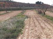 Terreno en Venta en Yecla