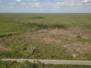 Terreno en venta en Yucatán, ideal para desarrollo Terreno en venta en Yucatán, ideal para desarrollo