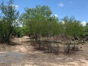 TERRENO EN VENTA EN ZACATEQUITAS PESQUERIA NUEVO LEON