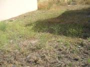 Terreno en venta en Zafra