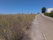 Terreno en Venta en Zamora