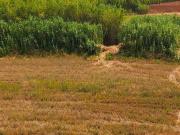 Terreno en Venta en Zaragoza