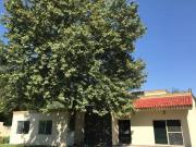 TERRENO EN VENTA EN ZONA CARRETERA NACIONAL