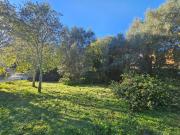 Terreno en venta en zona galeretes